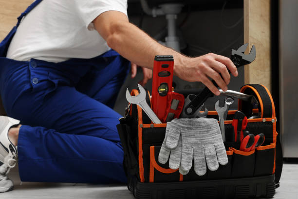 Best Clogged Drain Plumber  in Lakeshire, MO