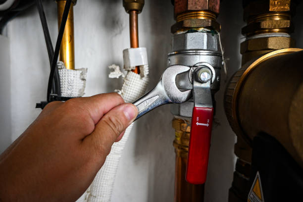 Best Plumbing Services Near Me  in Lakeshire, MO